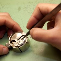 Gallery thumbnail