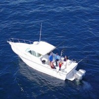 Storm Warning Chicago Fishing Charters