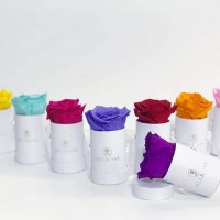 Gallery thumbnail