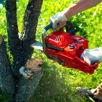 Tree Service Experts Nashville