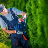 Landscaper Cleveland