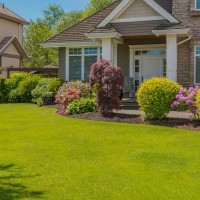 Siderio Landscaping Lawn Care