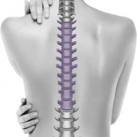 Back & Neck Pain Toms River