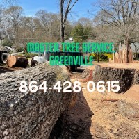 Master Tree Service Greenville