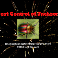 Pest Control of Jackson