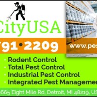 Pest city