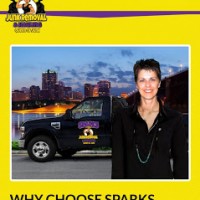 SPARKS JUNK REMOVAL & HAULING