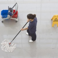 Meticulously cleaning of Roseville