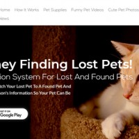 Pet Video Verify