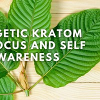 Breezy Kratom LTD.