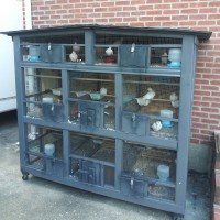 Gallery thumbnail