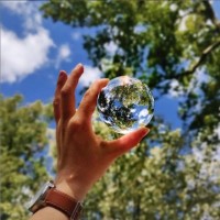 Gallery thumbnail