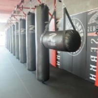 Gallery thumbnail