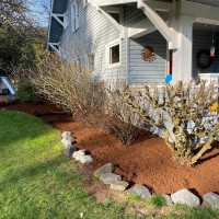 PG Landscaping