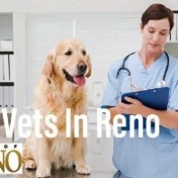 Reno vets