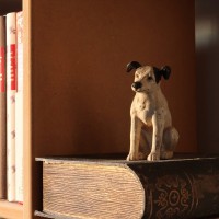 Gallery thumbnail