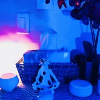 Gallery thumbnail