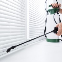 Pest Control Experts of Salt Lake City