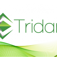 Tridant