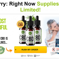 CBD Kick Oil