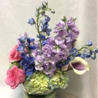Gallery thumbnail