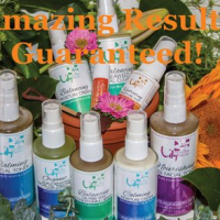 Lily Farm Fresh Skin Care