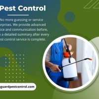 Green Guard Pest Control