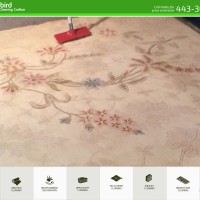 Sunbird Carpet Cleaning Crofron