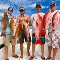 YACHTFISH Fishing Charters