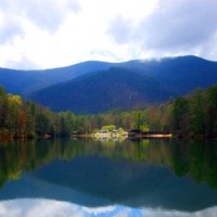 Gallery thumbnail
