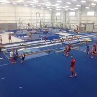 Fun & Fitness Gymnastics