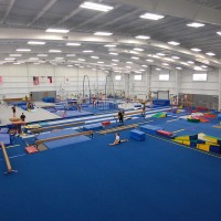 Fun & Fitness Gymnastics