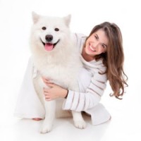 Orange County Mobile Dog Grooming