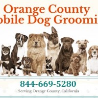 Orange County Mobile Dog Grooming