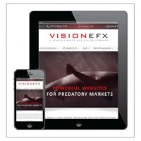 VISIONEFX