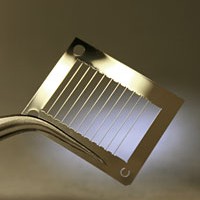 Gallery thumbnail