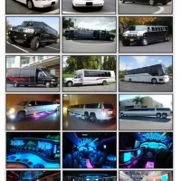 Party Buses Houston