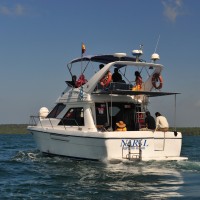 Gallery thumbnail