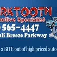 Shark Tooth Automotive Specialist