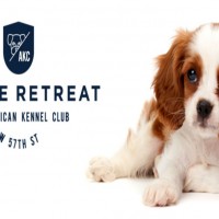 AKC Canine Retreat