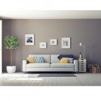Gallery thumbnail