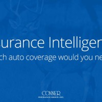 Conner Insurance Group