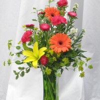 Gallery thumbnail