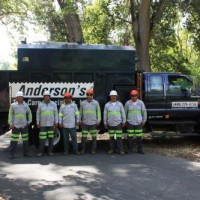 Andersons Tree Care