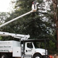 Andersons Tree Care