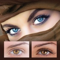 Gallery thumbnail