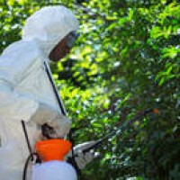 Alabama Exterminators & Pest Control