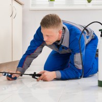 Alabama Exterminators & Pest Control