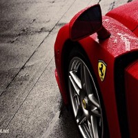 Gallery thumbnail