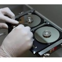 Gallery thumbnail